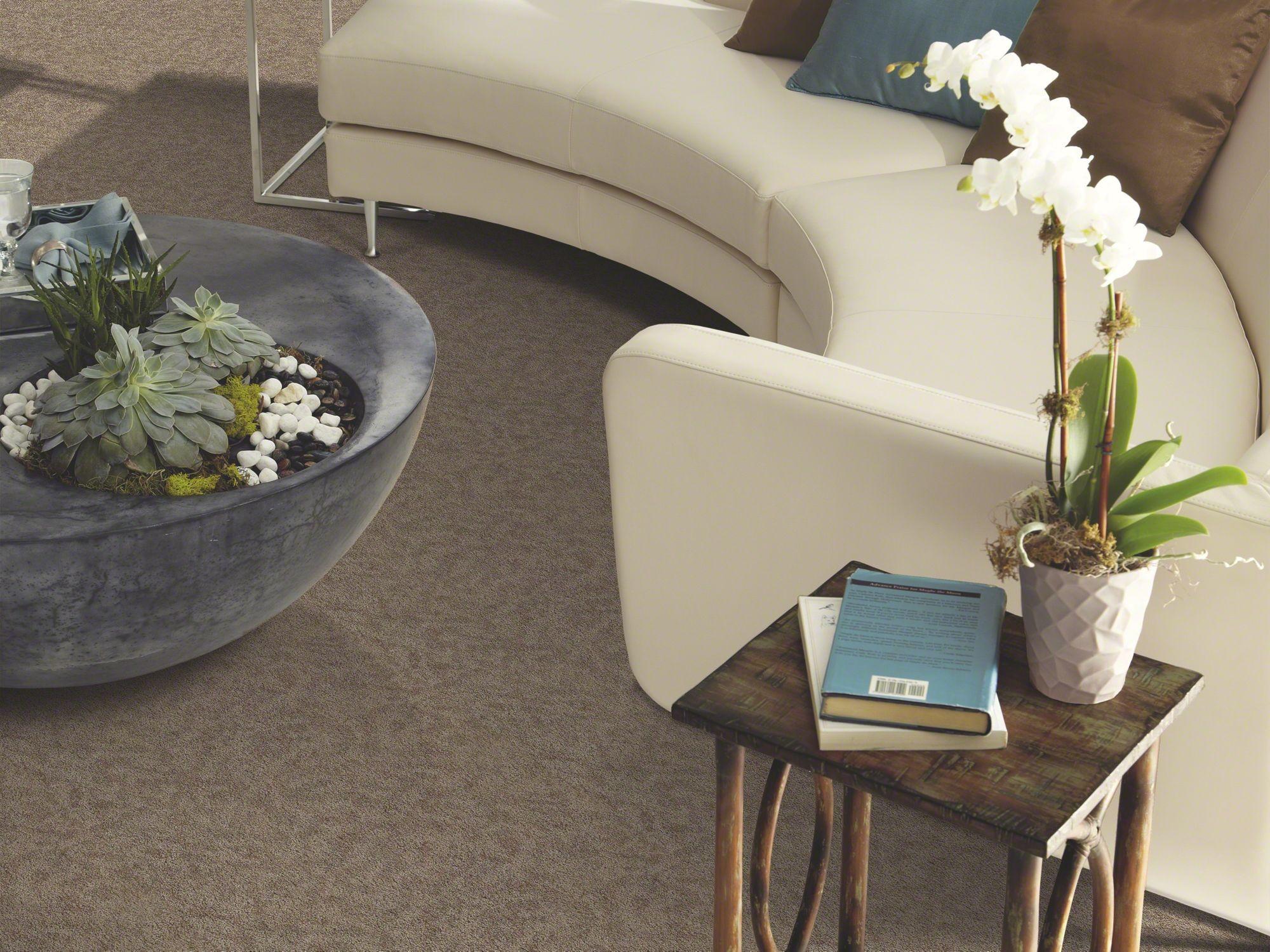 Your Guide to Finding the Right Cut and Loop Carpet